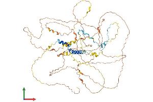 Protein Structure (PS) image for Protein Phosphatase 1, Regulatory (Inhibitor) Subunit 15A (PPP1R15A) (AA 1-674) protein (His tag) (ABIN7555080)