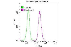 Overlay histogram showing K562 cells stained with ABIN7127382 (red line) at 1:50. (Recombinant Caspase 9 抗体)