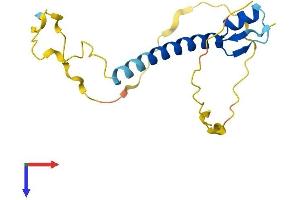 SNRPC Protein (AA 1-159) (His tag)