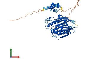 Protein Structure (PS) image for tyrosyl-DNA phosphodiesterase 2 (TDP2) (AA 1-362) protein (His tag) (ABIN7555873)