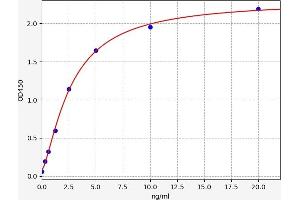 Melanoma Cell Adhesion Molecule (MCAM) ELISA Kit