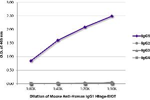ELISA plate was coated with purified human IgG1, IgG2, IgG3, and IgG4. (小鼠 anti-人 IgG1 (Hinge Region) Antibody (Biotin))