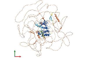 Protein Structure (PS) image for Mitogen-Activated Protein Kinase Kinase Kinase 19 (MAP3K19) (AA 1-1328) protein (His tag) (ABIN7554456)
