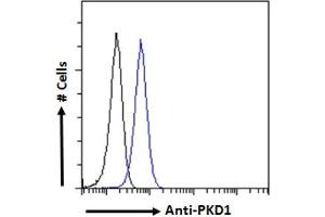 ABIN768558 Flow cytometric analysis of paraformaldehyde fixed HEK293 cells (blue line), permeabilized with 0.