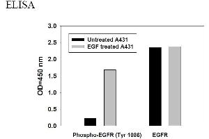 Image no. 6 for Epidermal Growth Factor Receptor (EGFR) ELISA Kit (ABIN1981746) (EGFR ELISA 试剂盒)