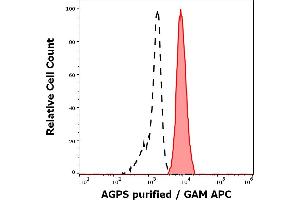 Separation of K562 cells (red-filled) from human leukocytes (black-dashed) in flow cytometry analysis (intracellular staining) of human peripheral whole blood spiked with K562 cells stained using anti-AGPS (AGPS-03) purified antibody (concentration in sample 5 μg/mL, GAM APC).