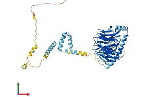 Protein Structure (PS) image for PRP4 Pre-mRNA Processing Factor 4 Homolog (PRPF4) (AA 1-522) protein (His tag) (ABIN7550990)