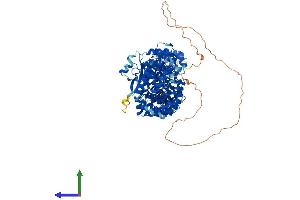 AlphaFold protein structure predicition of Mouse Recombinant Armc3 Protein, UniprotID A2AU72 (ARMC3 Protein (AA 1-881) (His tag))