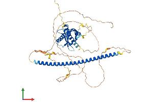 Protein Structure (PS) image for Nitric Oxide Synthase 1 (Neuronal) Adaptor Protein (NOS1AP) (AA 1-506) protein (His tag) (ABIN7552921)