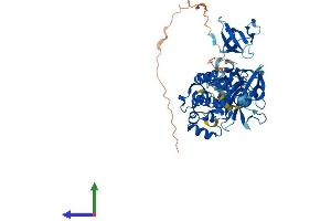 Protein Structure (PS) image for Megakaryocyte-Associated tyrosine Kinase (MATK) (AA 1-507) protein (His tag) (ABIN7549253)