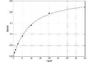 Protease, serine, 1 (Trypsin 1) (PRSS1) ELISA Kit