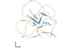 AlphaFold protein structure predicition of Human Recombinant HJURP Protein, UniprotID Q8NCD3