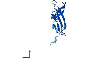 Protein Structure (PS) image for Ribosomal Protein L36a (RPL36A) (AA 1-106) protein (His tag) (ABIN7556755)