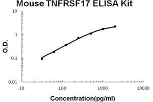 Mouse TNFRSF17/BCMA Accusignal ELISA Kit Mouse TNFRSF17/BCMA AccuSignal ELISA Kit standard curve. (BCMA ELISA 试剂盒)