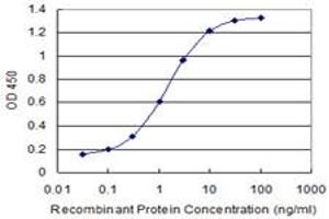 Detection limit for recombinant GST tagged COG3 is 0. (COG3 抗体  (AA 25-124))
