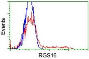 HEK293T cells transfected with either RC202430 overexpress plasmid (Red) or empty vector control plasmid (Blue) were immunostained by anti-RGS16 antibody (ABIN2455310), and then analyzed by flow cytometry. (RGS16 抗体)