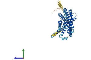 AlphaFold protein structure predicition of Human Recombinant GPR183 Protein, UniprotID P32249