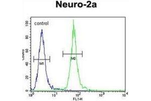 Flow cytometric analysis of Neuro-2a cells using hCG_17324 Antibody (C-term) Cat. (Primary Ciliary Dyskinesia Protein 1 (PCDP1) (AA 508-538), (C-Term) 抗体)