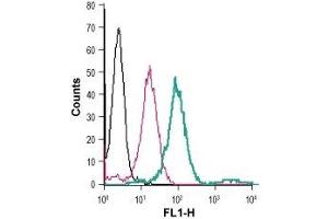 Flow Cytometry (FACS) image for anti-Solute Carrier Family 7 (Cationic Amino Acid Transporter, Y+ System), Member 2 (SLC7A2) (AA 151-163), (Extracellular) antibody (FITC) (ABIN7043749)