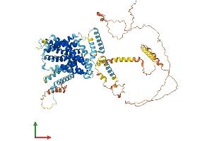 Protein Structure (PS) image for Solute Carrier Family 9 (Sodium/hydrogen Exchanger), Member 3 (SLC9A3) (AA 1-829) protein (His tag) (ABIN7562154)