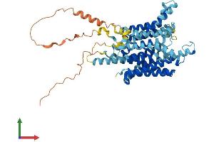 Protein Structure (PS) image for Solute Carrier Family 45, Member 2 (SLC45A2) (AA 1-530) protein (His tag) (ABIN7545951)