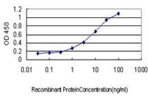 Detection limit for recombinant GST tagged HOXB1 is approximately 0. (HOXB1 抗体  (AA 1-74))