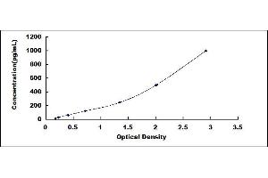 Typical standard curve (INHBA ELISA 试剂盒)