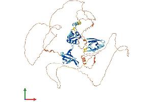 AlphaFold protein structure predicition of Mouse Recombinant Dvl3 Protein, UniprotID Q61062