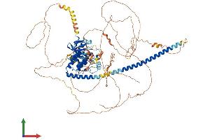 Protein Structure (PS) image for Mitogen-Activated Protein Kinase Kinase Kinase 12 (MAP3K12) (AA 1-888) protein (His tag) (ABIN7557596)