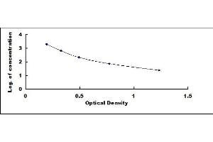 Typical standard curve (PPY ELISA 试剂盒)