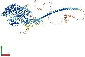 Protein Structure (PS) image for Myosin XIX (MYO19) (AA 1-970) protein (His tag) (ABIN7554656)