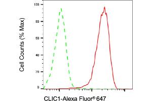 Flow cytometric analysis of CLIC1 expression in HAP-1 cells using CLIC1 antibody (ABIN7798050), 1:2,000). (Recombinant CLIC1 抗体)