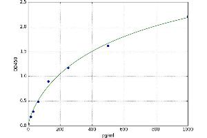 A typical standard curve
