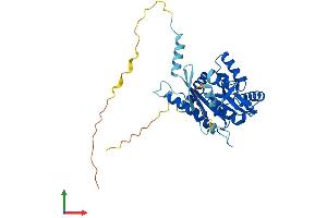 Protein Structure (PS) image for Septin 3 (SEPT3) (AA 1-350) protein (His tag) (ABIN7556393)