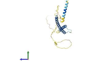 AlphaFold protein structure predicition of Mouse Recombinant Mxi1 Protein, UniprotID P50540