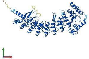 Protein Structure (PS) image for Ankyrin Repeat and SOCS Box Containing 4 (ASB4) (AA 1-426) protein (His tag) (ABIN7552429)