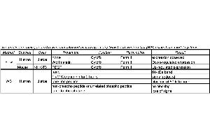 Image no. 1 for anti-V-Akt Murine Thymoma Viral Oncogene Homolog 1 (AKT1) (pSer473) antibody (ABIN967668) (AKT1 抗体  (pSer473))