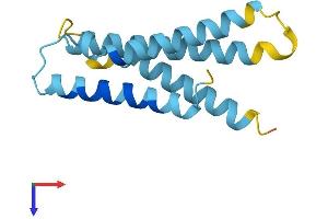 AlphaFold protein structure predicition of Mouse Recombinant Tmem60 Protein, UniprotID Q8K174 (TMEM60 Protein (AA 1-133) (His tag))