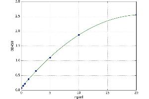 A typical standard curve (NKX2-1 ELISA 试剂盒)