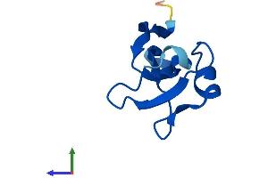 Protein Structure (PS) image for Cyclin-dependent kinases regulatory subunit 2 (CKS2) (AA 1-79) protein (Fc Tag) (ABIN7556473)