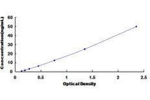 Intestinal Alkaline Phosphatase (ALPI) ELISA Kit