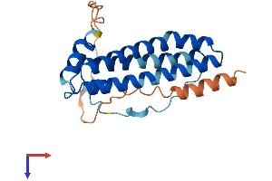 AlphaFold protein structure predicition of Human Recombinant FTH1P19 Protein, UniprotID P0C7X4