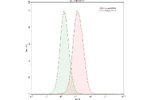 Detection of ALDOA in HepG2 human hepatocellular carcinoma cell line using Polyclonal Antibody to Aldolase A, Fructose Bisphosphate (ALDOA) (ALDOA 抗体  (AA 18-273))