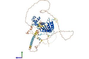 Protein Structure (PS) image for Family with Sequence Similarity 83, Member D (FAM83D) (AA 1-585) protein (His tag) (ABIN7553903)
