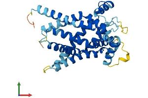Protein Structure (PS) image for Solute Carrier Family 25 (Mitochondrial Carrier, Peroxisomal Membrane Protein, 34kDa), Member 17 (SLC25A17) (AA 1-307) protein (His tag) (ABIN7554997)