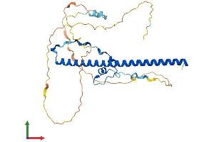Protein Structure (PS) image for D Site of Albumin Promoter (Albumin D-Box) Binding Protein (DBP) (AA 1-325) protein (His tag) (ABIN7557635)