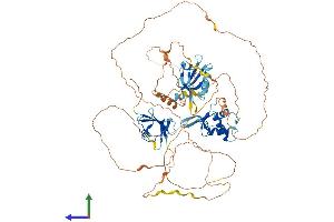 AlphaFold protein structure predicition of Mouse Recombinant Dvl2 Protein, UniprotID Q60838 (DVL2 Protein (AA 1-736) (His tag))