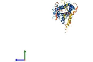 AlphaFold protein structure predicition of Human Recombinant TMEM145 Protein, UniprotID Q8NBT3 (TMEM145 Protein (AA 1-493) (His tag))