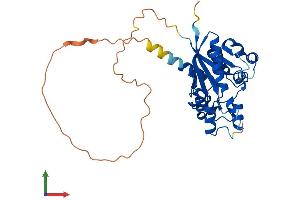 Protein Structure (PS) image for Nicotinamide Nucleotide Adenylyltransferase 2 (NMNAT2) (AA 1-307) protein (His tag) (ABIN7549808)