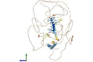 AlphaFold protein structure predicition of Human Recombinant LIN54 Protein, UniprotID Q6MZP7